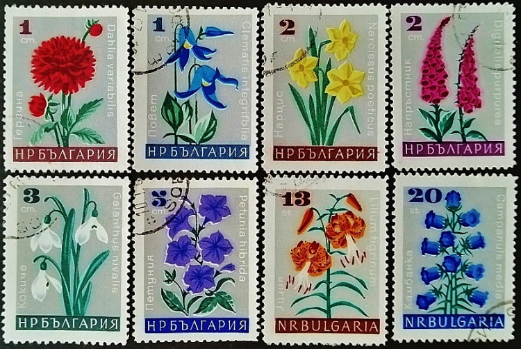 Набор почтовых марок (8 шт.). "Цветы". 1966 год, Болгария.