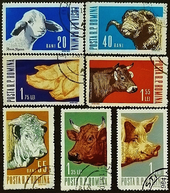 Набор почтовых марок (7 шт.). "Домашние животные". 1962 год, Румыния.