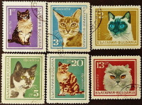 Набор почтовых марок (6 шт.). "Кошки". 1967 год, Болгария.