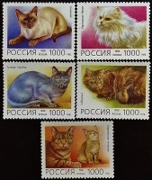 Набор марок (5 шт.). "Домашние кошки". 1996 год, Россия.