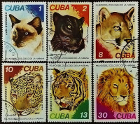 Набор почтовых марок (6 шт.). "Кошки из зоопарка". 1977 год, Куба.