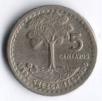 Монета 5 сентаво. 1977 год, Гватемала.