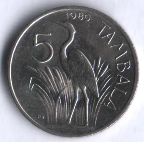 Монета 5 тамбала. 1989 год, Малави.