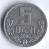 Монета 5 баней. 2006 год, Молдова.