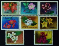 Набор почтовых марок (8 шт.). "Цветы кустарников". 1972 год, Польша.