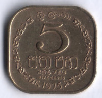Монета 5 центов. 1975 год, Шри-Ланка.