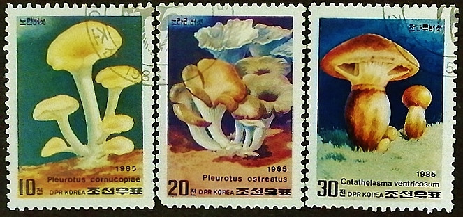 Набор почтовых марок (3 шт.). "Грибы". 1985 год, КНДР.