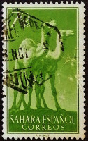 Почтовая марка (70 c.). "Верблюды". 1957 год, Испанская Сахара.