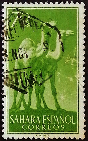 Почтовая марка (70 c.). "Верблюды". 1957 год, Испанская Сахара.