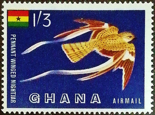 Марка почтовая (1`3 s.). "Козодой". 1959 год, Гана. Марка почтовая (1`3 s.). "Козодой". 1959 год, Гана.