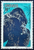 Марка почтовая (70 f.). "Горные гориллы". 1983 год, Руанда.