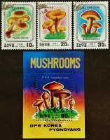 Набор почтовых марок (3 шт.) с блоком. "Грибы". 1987 год, КНДР.