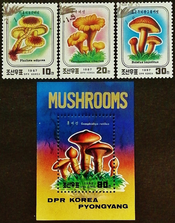 Набор почтовых марок (3 шт.) с блоком. "Грибы". 1987 год, КНДР.