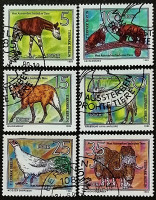 Набор почтовых марок (6 шт.). "Редкие животные". 1980 год, ГДР.