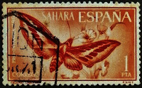 Почтовая марка (1 ps.). "Моль колибри". 1964 год, Испанская Сахара.