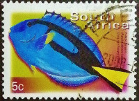 Почтовая марка (3 c.). "Стандарт - Флора и фауна". 2000 год, ЮАР.