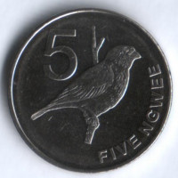Монета 5 нгве. 2012 год, Замбия.
