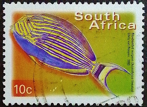 Почтовая марка (10 c.). "Стандарт - Флора и фауна". 2000 год, ЮАР. Почтовая марка (10 c.). "Стандарт - Флора и фауна". 2000 год, ЮАР.