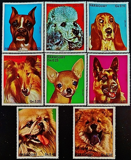 Набор марок (8 шт.). "Собаки". 1975 год, Парагвай.