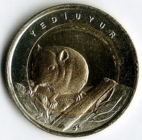 Монета 1 лира. 2016 год, Турция. Соня.