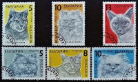 Набор почтовых марок (6 шт.). "Кошки". 1989 год, Болгария.