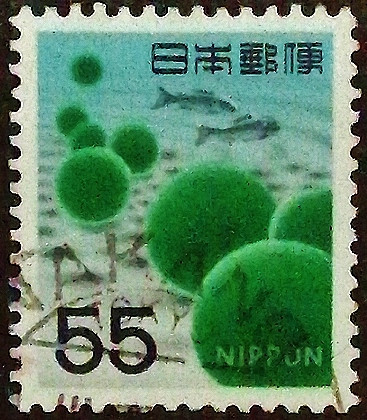 Почтовая марка (55 y.). "Шарики из мха маримо". 1969 год, Япония. Почтовая марка (55 y.). "Шарики из мха маримо". 1969 год, Япония.