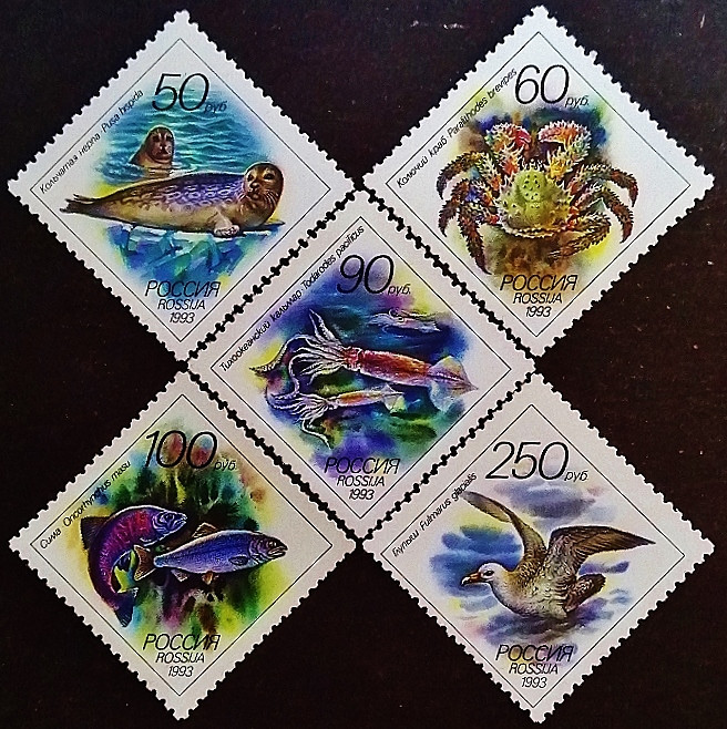 Набор марок (5 шт.). "Морская фауна Тихоокеанского региона". 1993 год, Россия.