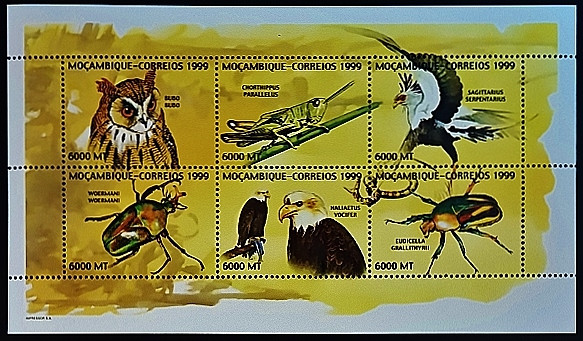 Блок марок (6 шт.). "Изучение природы". 1999 год, Мозамбик.