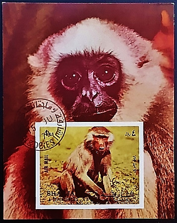 Мини-блок. "Обезьяны". 1972 год, Шарджа.