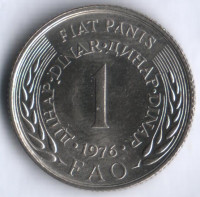 1 динар. 1976 год, Югославия. FAO.