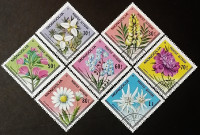 Набор почтовых марок (7 шт.). "Цветы". 1979 год, Монголия.