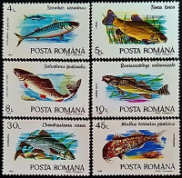 Набор марок (6 шт.). "Рыбы". 1992 год, Румыния.