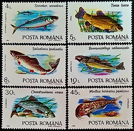 Набор марок (6 шт.). "Рыбы". 1992 год, Румыния.