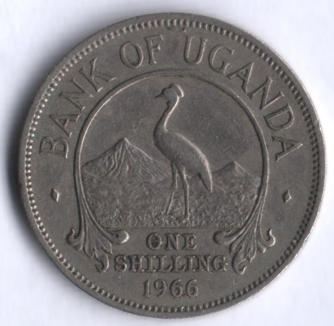 Монета 1 шиллинг. 1966 год, Уганда.