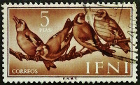 Почтовая марка (5 ps.). "Европейский щегол". 1960 год, Ифни.