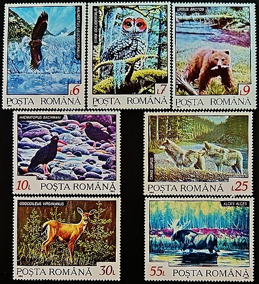 Набор марок (7 шт.). "Фауна Северного региона". 1992 год, Румыния.
