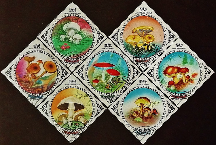 Набор почтовых марок (7 шт.). "Грибы". 1985 год, Монголия.