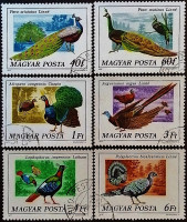 Набор почтовых марок (6 шт.). "Павлины и фазаны". 1977 год, Венгрия.