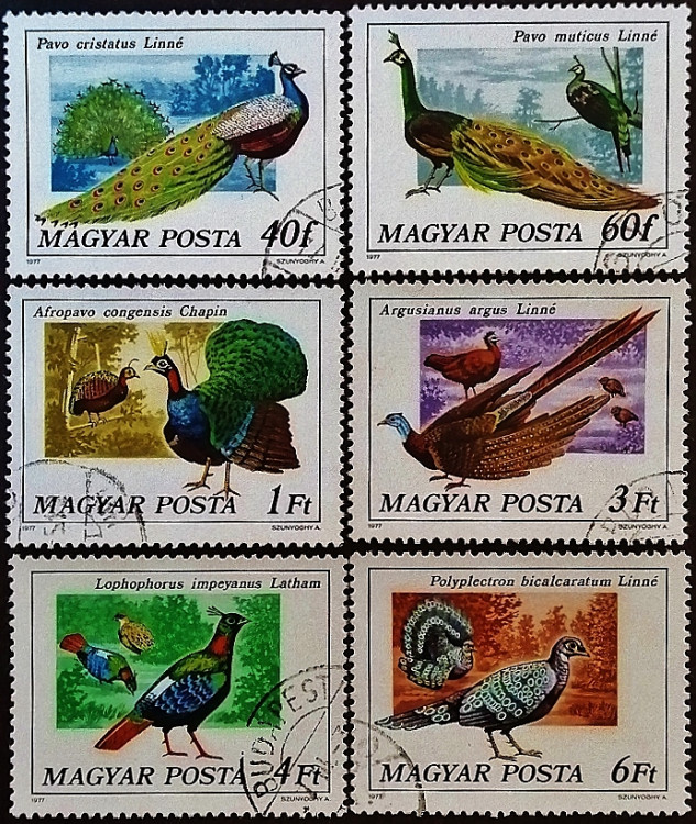 Набор почтовых марок (6 шт.). "Павлины и фазаны". 1977 год, Венгрия.