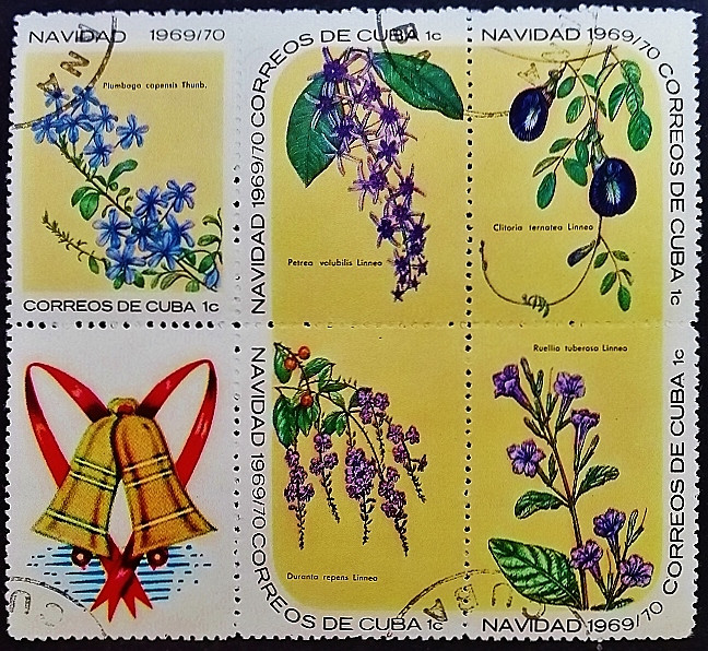 Сцепка почтовых марок (5 шт.). "Рождество 1969 - Цветы (I)". 1969 год, Куба. Сцепка почтовых марок (5 шт.). "Рождество 1969 - Цветы (I)". 1969 год, Куба.