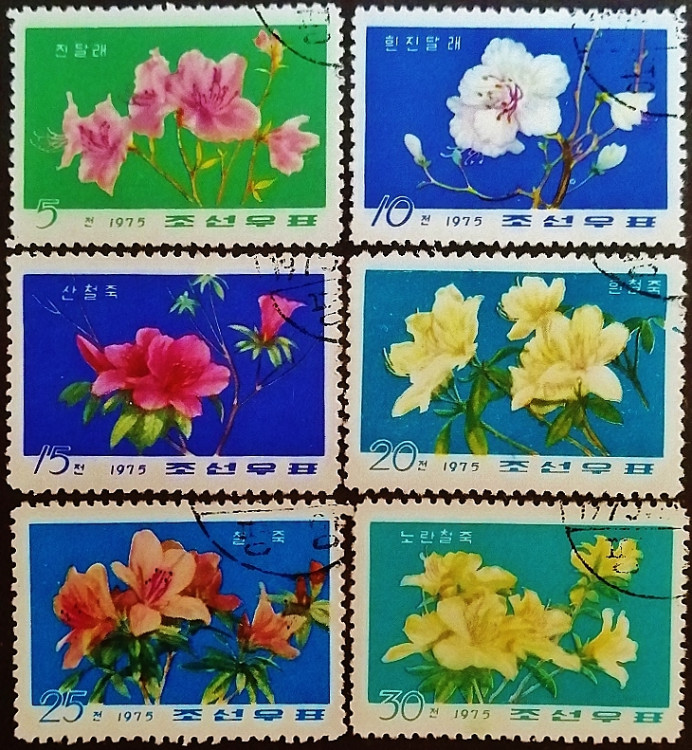 Набор почтовых марок (6 шт.). "Рододендроны". 1975 год, КНДР.