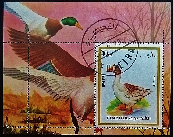 Мини-блок. "Фауна". 1972 год, Фуджейра.