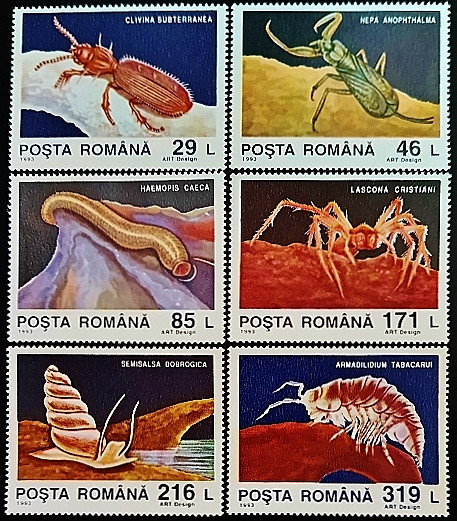 Набор марок (6 шт.). "Животные из пещеры Мовиле". 1993 год, Румыния. Набор марок (6 шт.). "Животные из пещеры Мовиле". 1993 год, Румыния.