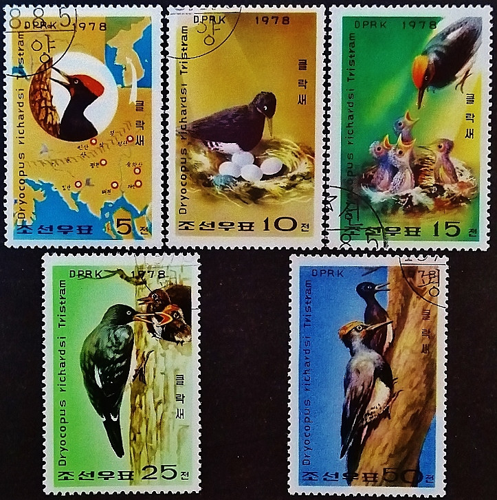 Набор почтовых марок (5 шт.). "Охрана дятлов". 1978 год, КНДР.
