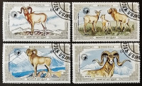 Набор почтовых марок (4 шт.). "Горные бараны". 1987 год, Монголия.