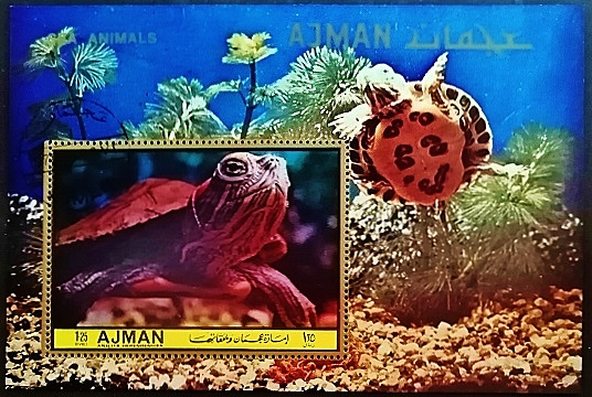 Мини-блок. "Красноухая черепаха". 1972 год, Аджман.