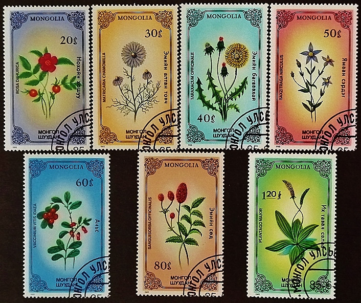 Набор почтовых марок (7 шт.). "Растения". 1985 год, Монголия.