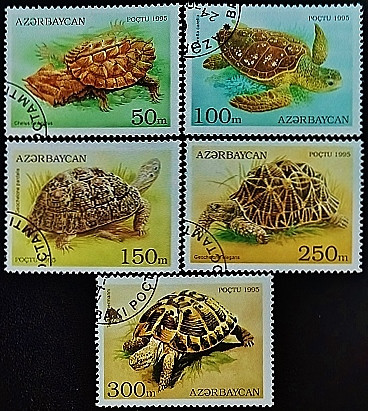 Набор марок (5 шт.). "Черепахи". 1995 год, Азербайджан.
