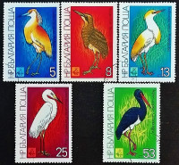 Набор почтовых марок (5 шт.). "Международная охотничья выставка EXPO '81, Пловдив: Кулики". 1981 год, Болгария.