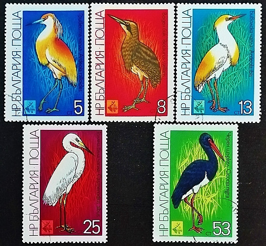 Набор почтовых марок (5 шт.). "Международная охотничья выставка EXPO '81, Пловдив: Кулики". 1981 год, Болгария.